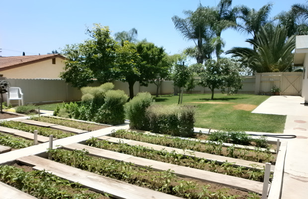 Board and Care in San Marcos California 92069 at easeplacement.com - Ease Placement