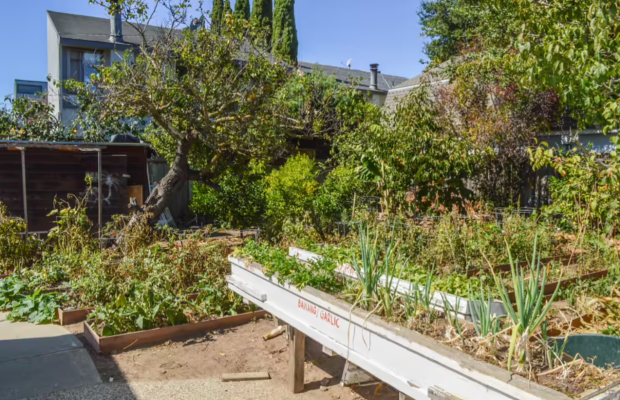 Assisted Living in San Mateo California 94401 at easeplacement.com - Ease Placement
