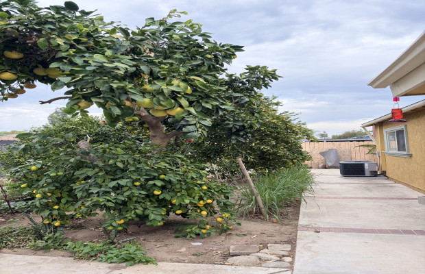 Board and Care in Corona California 92882 at easeplacement.com - Ease Placement