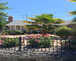 Board and Care in Citrus Heights California 95610 at easeplacement.com - Ease Placement