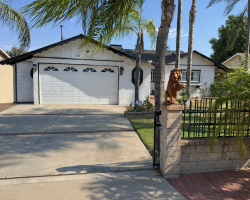 Board and Care in Riverside California 92505 at easeplacement.com - Ease Placement